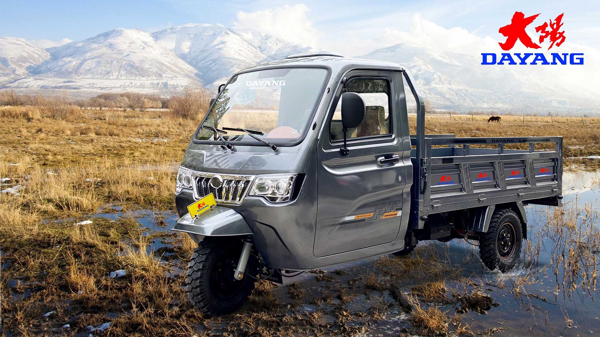 300cc Gaoline Tricycle in Gray Closed Cab Three Wheel Motorized Van For Cargo Hauling