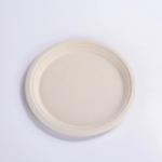 Waterproof Eco Friendly Disposable Sugarcane Bagasse Food Container