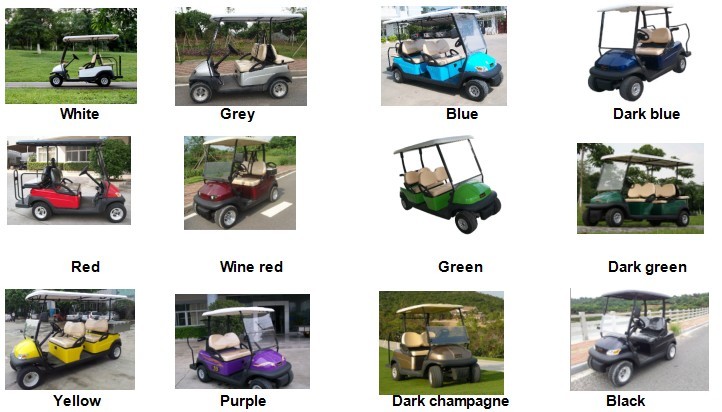 2 Seat Electric Golf Carts 48 Voltage Trojan Battery Aluminum Chassis DC Motor