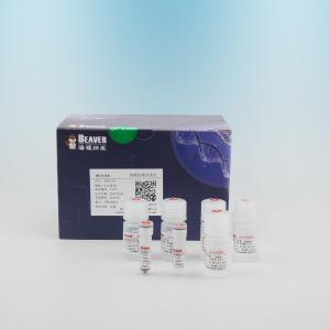 Wholesale 100 Reactions Blood DNA Kit For Blood DNA Extraction For Automatic Operation from china suppliers