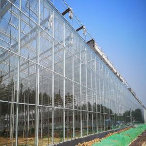 Wholesale Galvanized Steel Horticultural Glass Greenhouse Waterproof Good Anti Corrosive Effect from china suppliers