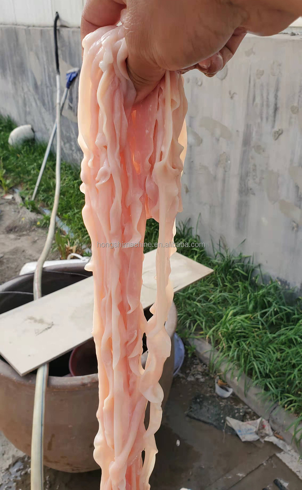 Stainless Steel Duck Intestine Cutting Washing Machine/Poultry Pork Small Intestine Chicken Cutter Machine