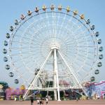 Theme Park Ferris Wheel Ride 380V 50Hz Air - Conditioned Cabin