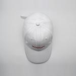 Curved Visor Embroidered Baseball Caps Full Seasons Structured Unstructured