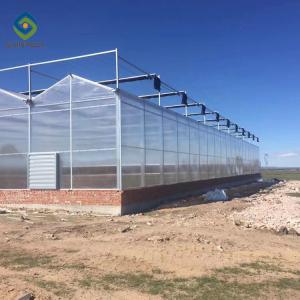 Wholesale Commercial Garden Transparent 7.5m PC Sheet Greenhouse from china suppliers