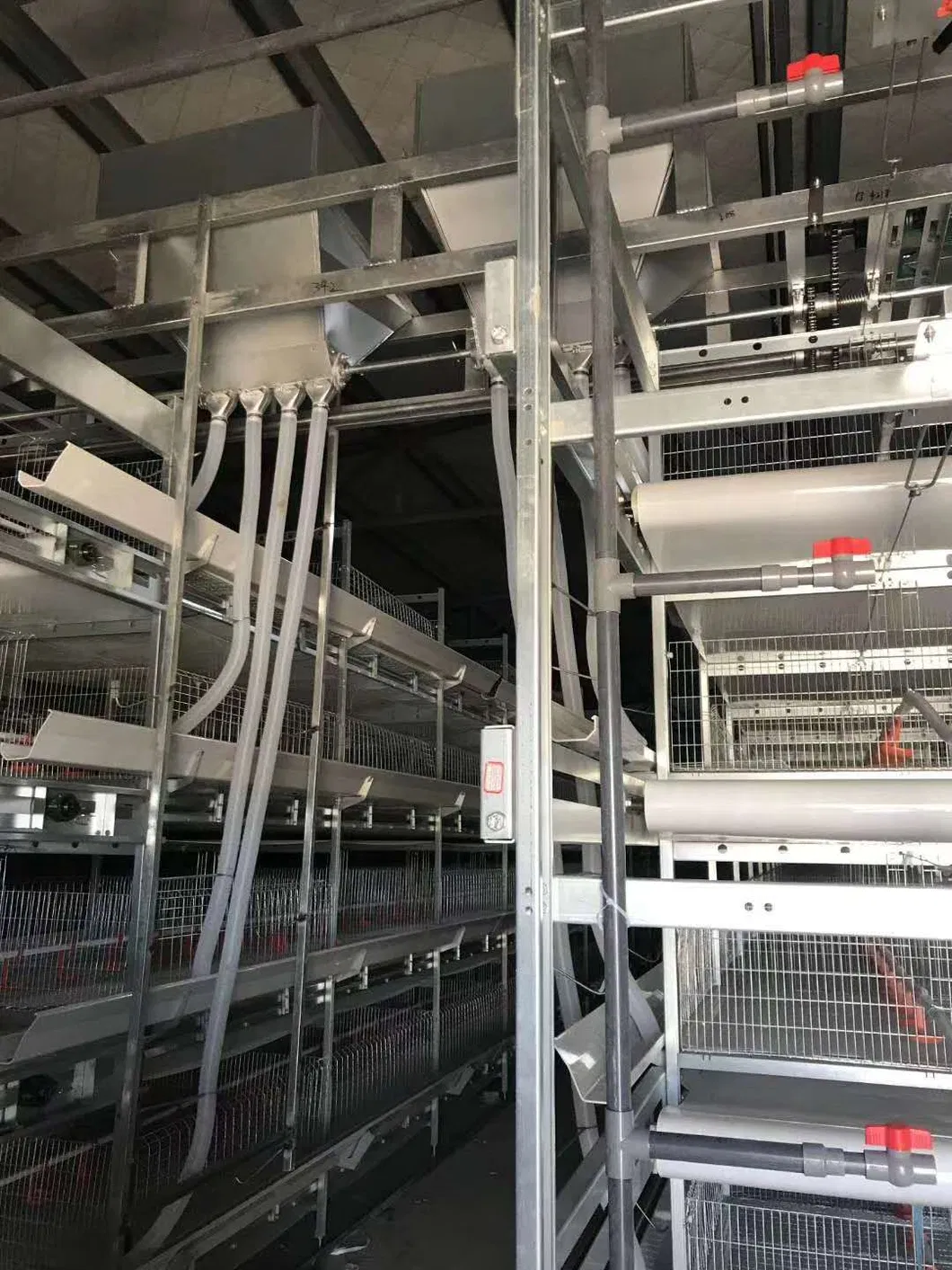 Automatic Metal Cage Steel Structure Broiler Chicken Poultry House