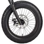 250W 750w Elektrische Fiets Bicycle Battery 48v 20AH Fat Tire For Adults