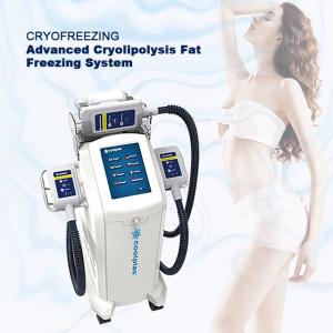 Wholesale Medical Cryolipolysis Vacuum Machine , Cryo Fat Freezing Machine from china suppliers