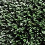 40mm 50mm 60mm Synthetic Grass For Football Fields PE Fabric Lightweight