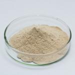 Pharmaceutical Enzymes Of Pancreatic Juice Customized Pancreatin Powder Food