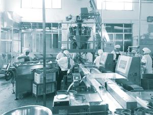 Wholesale Can Stainless Steel Food Grade Weigher Packing Machine from china suppliers