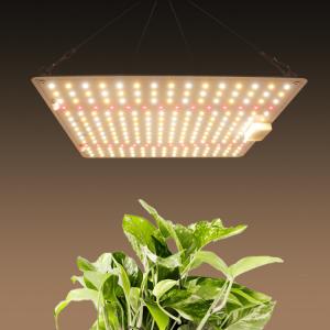 Wholesale Full Spectrum 150W Horticulture SMD Chip LED Grow Lights For Indoor Plants from china suppliers
