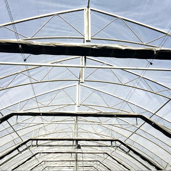 Medical Plant Growing Fully Auto Greenhouse Led Grow Light 100% Automated Light