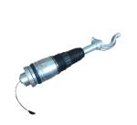 Maserati Levante Front Air Suspension Shock Absorber Strut 670100717 670106260