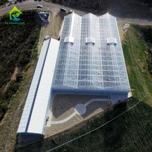 Wholesale Hot DIP Galvanized Steel Structure PC Sheet Greenhouse For Orchids Plants from china suppliers