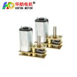 Hofon Motor GM1024-N30VA 3V 5V 6V 12V DC reduction Metal Gear Motor For Smart