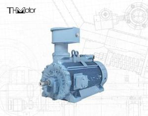 Wholesale 1500rpm High Voltage Asynchronous Flameproof Electric Motor H800 from china suppliers