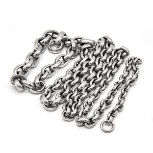 Wholesale Tarnish Free Unisex Stainless Steel Fitness Whip 18 Inches from china suppliers