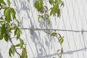 Wholesale High Strength X Tend Metal Wire Rope Mesh For Recyclable Green Facadings from china suppliers
