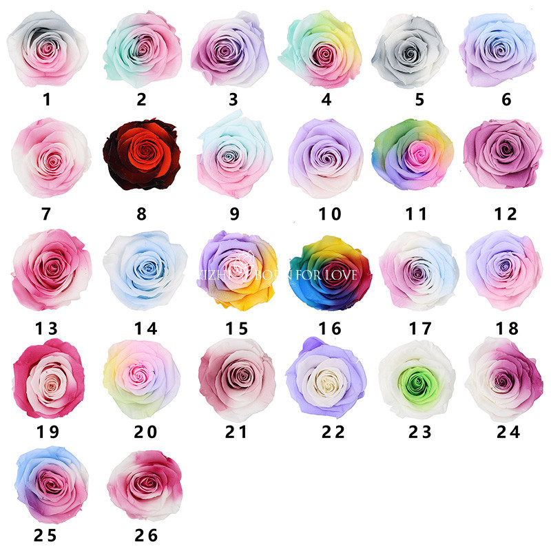 5-6cm Preserved Rose Heads