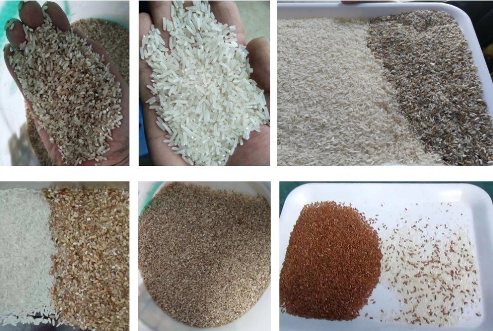 1 Chute CCD Rice Color Sorter Machine 80 Channels 260kg