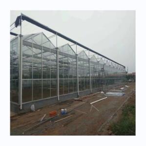 Wholesale Multi Span Glass Greenhouse Agricultural Equipment for Vegetable Fruits and Flowers from china suppliers