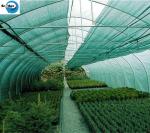 Most Selling Products HDPE Shade Net Cloth Greenhouse Shading Vegetables
