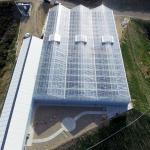 Multispan Metal Frame Venlo Glass Greenhouse With High Durability