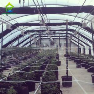 Wholesale 4.5-6.5m High Automated Light Dep Greenhouse Medical Flowerhouse Springhouse Greenhouse from china suppliers