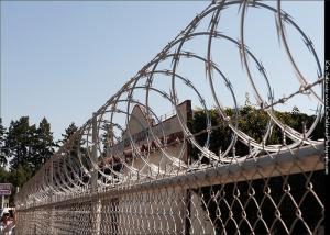 Wholesale HDG Razor Wire Blade BTO CBT With Clips Galvanized Concertina Wire from china suppliers