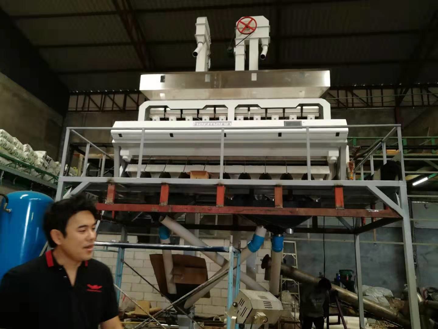 CCD LED Peeled Peanut Nuts Color Sorter 5 Chutes 320 Channels