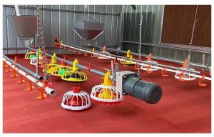 Wholesale Poultry Breeding Pressure Regulating Valve Broiler Feeding System from china suppliers