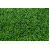 Buy cheap SGS Approved Environmental Artificial Grass Carpet For Landscape Garden Deco from wholesalers