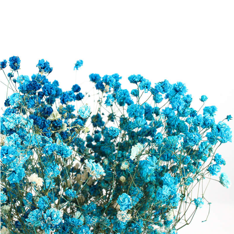 Home Decorations Beautiful Dried Flowers Gypsophila Long Term Storage