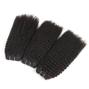 Wholesale Jerry Curly Virgin Human Hair Bundles No Fiber 7A Grade Hair CE/BV/SGS from china suppliers