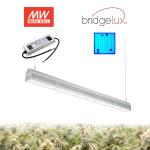 Maximum Yield 300W Greenhouse LED Grow Lights Trusses Installation