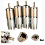 Faradyi Customized 12v Powerful Dc Motor High Torque High Rpm Gear Motor 30kg