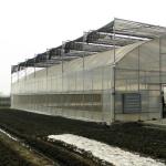 Plastic Greenhouse Department Multi-Span Po/PE Commercial Greenhouse with