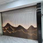 Clubhouse 0.4-20mm Stainless Steel Art Partition Wall Inox Divider Screen