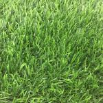 Eco Friendly Trugrass Pets Turf Animal Mat Safe For Dogs CE SGS Standard