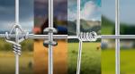 Attractive Price New Type Fencing For Sale Goat Wire Fence Hot Sale 150*150mm