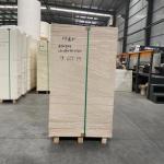 Eco-friendly 150g~300g PE Coated Paper In Sheet Paper Tea Cup Raw Material