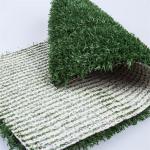25mm Pet And Dog Friendly Artificial Grass , Synthetic Putting Green Turf