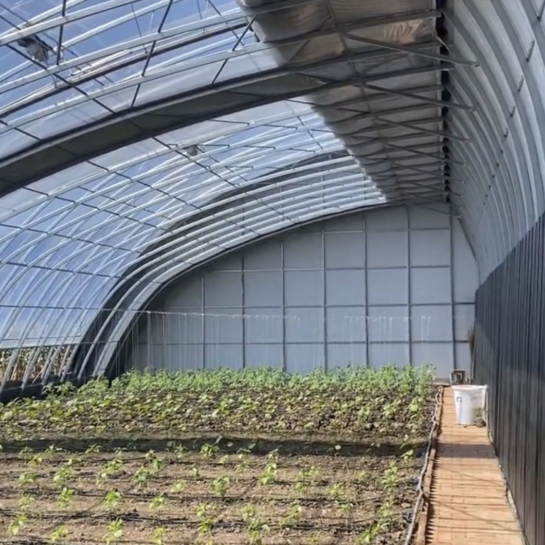 Flower Planting Sunlight Greenhouse