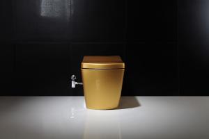 Wholesale Golden Intelligent Auto Wash Toilet Personal Hygiene Cleaning smart toilet from china suppliers