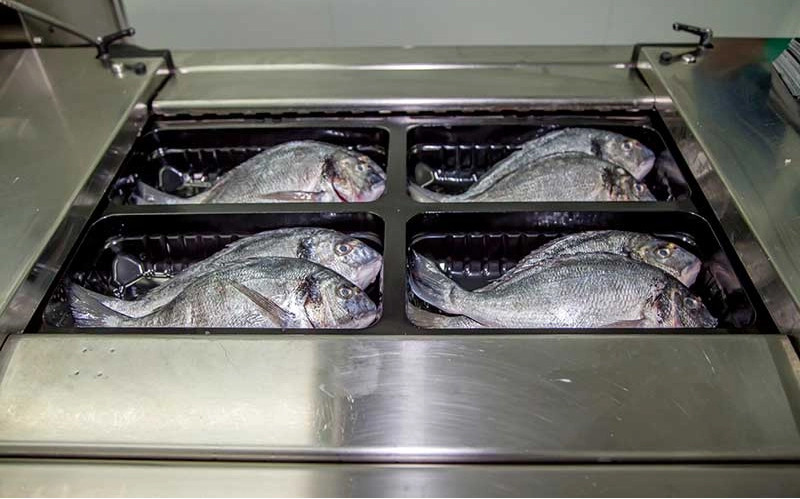 Live Fish User Friendly MAP Plastic Box Sealing Machine Tray Sealers Food Packaging