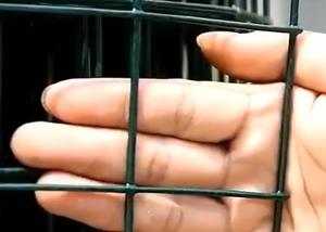 Wholesale Galvanized Low Carbon Black Pvc Coated Welded Wire Fence Panels 15M 30m from china suppliers