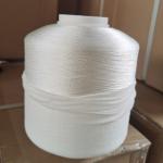 OEKO TEX 108D/2 Polyester Sewing Embroidery Thread Raw White / Dyed Colors