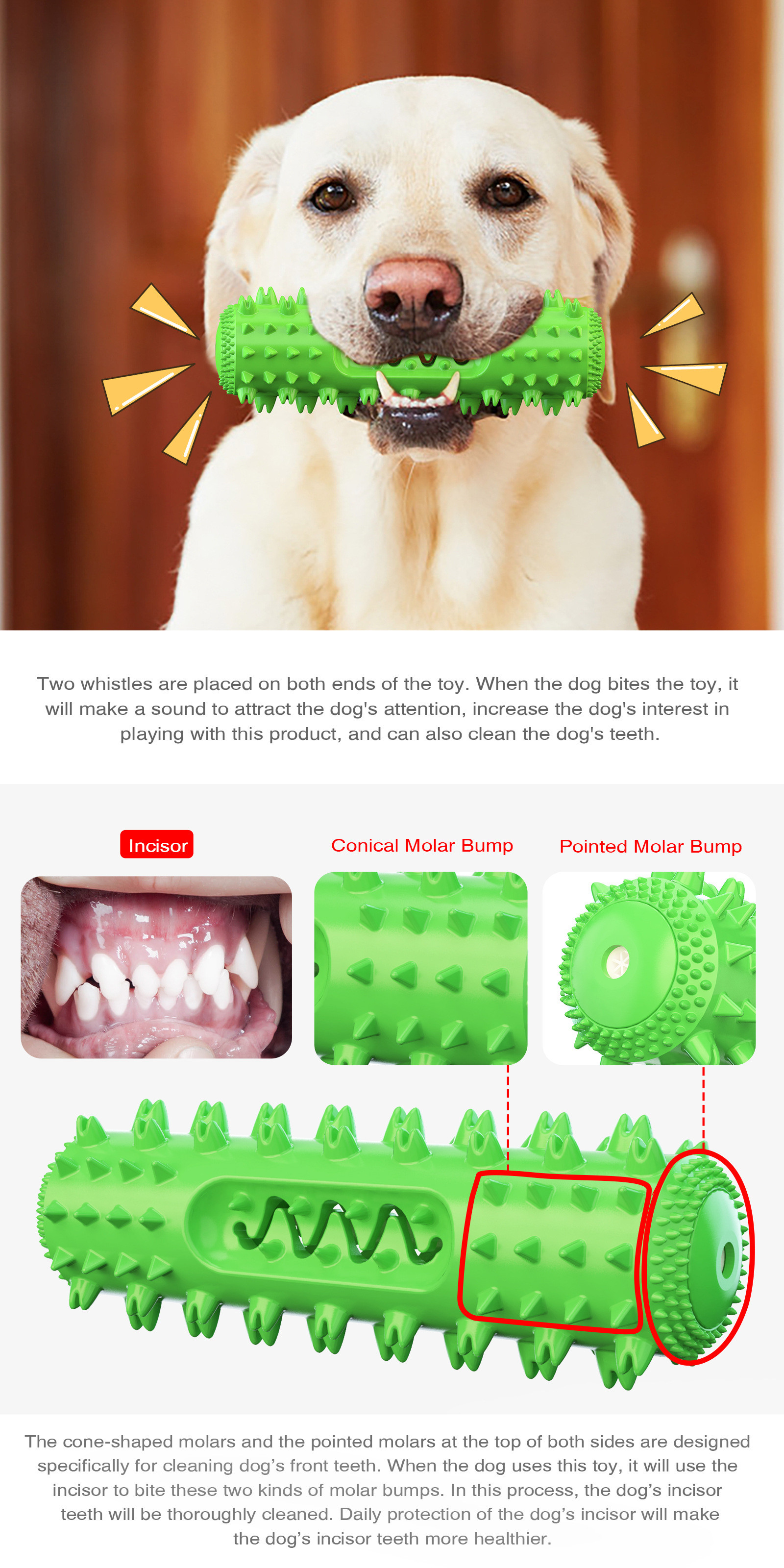 Multifunctional Squeaky Dog Chew Toy – TPR Dental Stick with Sound and Treat Dispenser, 200g, Bulk Pet Supplies for Export