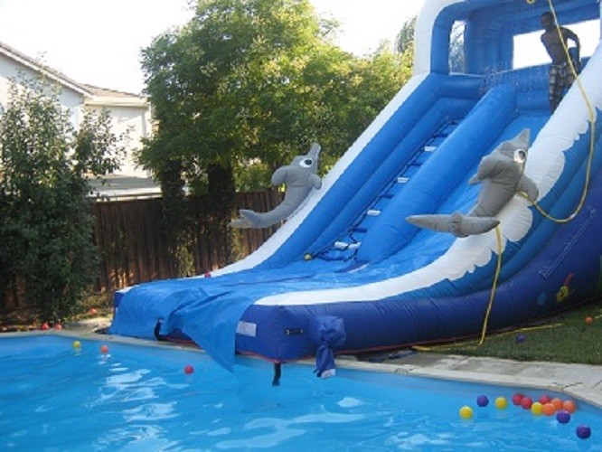 Play Inflatable Water Slides For Kids / Dolphin Inflatable Pool Water Slide